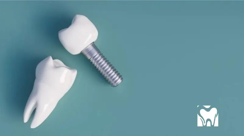A model tooth beside a dental implant and crown